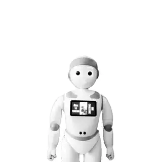 Nick Robot